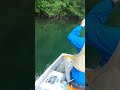 まさか!水に入っていないルアーに食ってきた!#shorts
