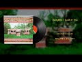 Daryl Hall & John Oates - Everytime I Look at You (Vinyl Visualizer)
