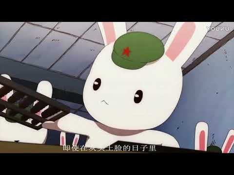 追梦赤子心《那年那兔那些事》