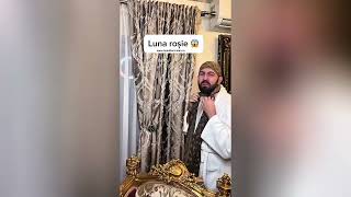 Luna Roșie Pamflet