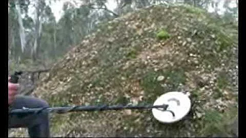 The Goldman - Part 2