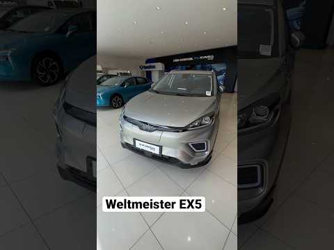 Weltmeister EX5