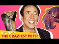 Crazy Facts About Nicolas Cage That’ll Blow Your Mind |⭐ OSSA