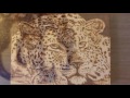 4 Wood Burning Pyrography Projects 4 Wood Burning Pyrography Projects
