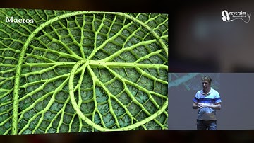 How to make a Lisp interpreter in 56 languages / Dov Murik