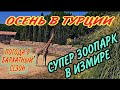 ТУРЦИЯ.ОСЕНЬ НАСТУПИЛА.ПОГОДА В СЕНТЯБРЕ.КУДА ПОЕХАТЬ.ЧТО ПОСМОТРЕТЬ🐼ЗООПАРК В ИЗМИРЕ 500 000 КВ.М