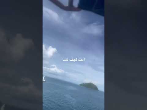 فيديو: الرسوم التوضيحية الخشبية 