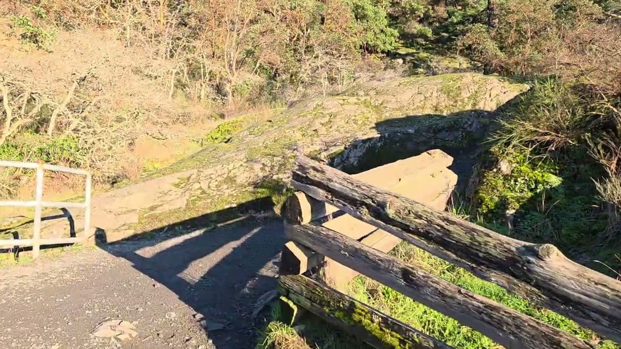 Thetis Lake Main Beach Hike