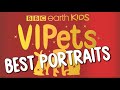 Best Pet Portraits! | VIPets | BBC Earth Kids