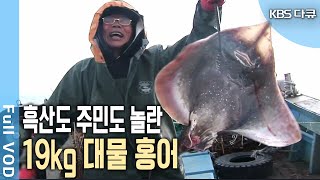 어종탐지기 없이 오직 '감'으로 잡는다? 베테랑 선장들의 홍어잡이 열전 (KBS 20090126 방송)