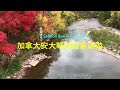 ~ 鮭心似箭 ~ 在秋楓裡看加拿大安大略湖鮭魚洄游 Watch the fall salmon run in Credit River Ontario Canada