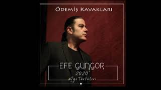 Efe Güngör - Ödemiş Kavakları Resimi