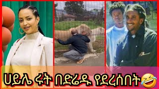 ?የኤርፖርት ፍተሻ?/የምልክት ቋንቋ/ሙቀጫ እንደመውቀጥ በለው//Ethiopian Funny TikTok Videos | Habesha TikTok | Kings Tube