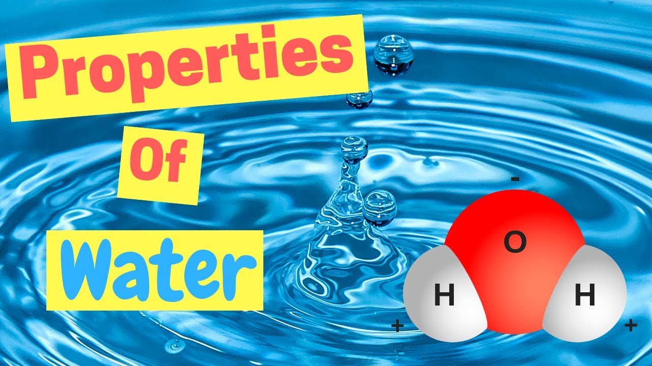 properties of water polarity hydrogen bonds adhesion property of water