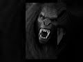 #lucifer Horror Story