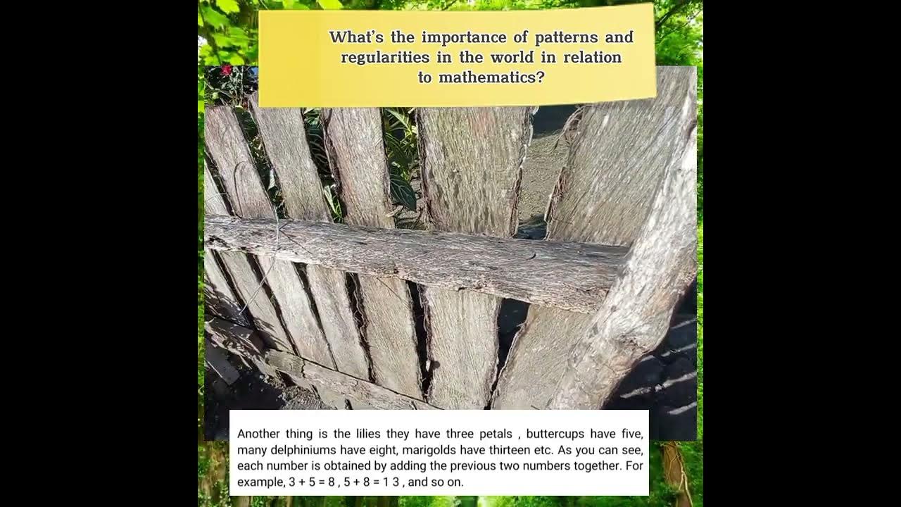 mathematics-helps-organize-patterns-and-regularities-in-the-world
