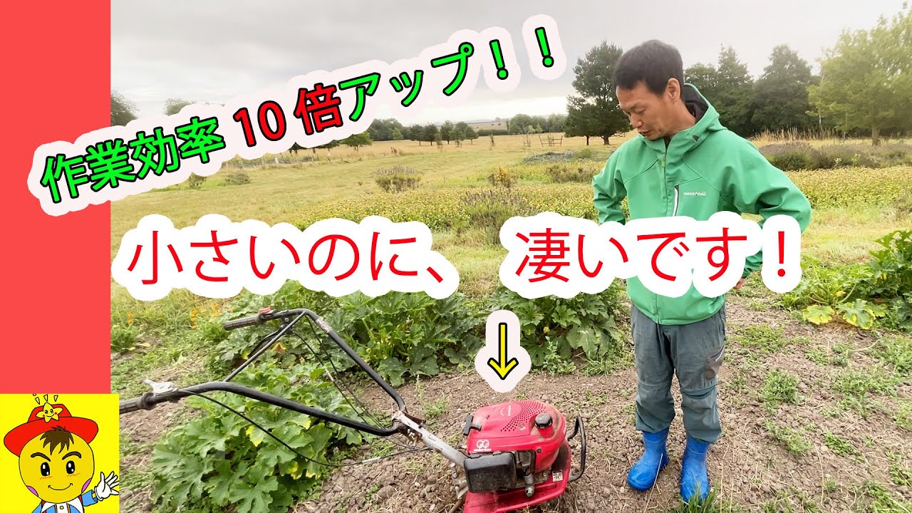 自然栽培 １〜１０ 無肥料無農薬自然栽培はぜかけ玄米 | 石川ファーム