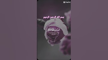 سوره الفجر #qurantranslation