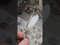 #rockhounding #crystals #quartzcrystal #quartz #treasure