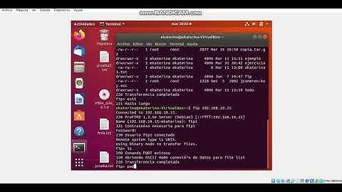 Servidor FTP instalado y configurado con Webmin