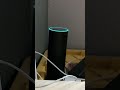 Amazon Alexa Quoting the CIA Fact Book!