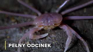 Krainy Jaskiń Laosu Ukryte Życie Między Rzeką A Górami Tajemnice Rzeki Mekong 104