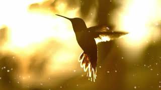 சநதன சய மனம - Part 9