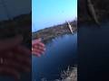 Поймал Сорогу на лету😯#sorts#рыбалка#fishing