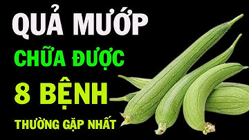 Tin Vui: 8 Công Dụng Tuyệt Vời  Của Quả Mướp Chữa Được 8 Căn Bệnh Thường Gặp Nhất.