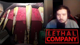 видео: Модди, Альцест, Обси и Фиаш в Lethal Company | Кооп стрим MoDDyChat картинка: Модди, Альцест, Обси и Фиаш в Lethal Company | Кооп стрим MoDDyChat