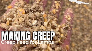 Feeding Lambs Creep. 18% g Protein Feed Using Grinder Mixer Reduces Costs to Feed Lambs (1st Group)