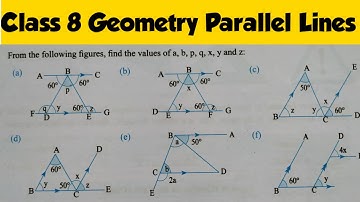 Class 8 Geometry Parallel Lines Exercise | Geometry Class 8 | Find The Value of angles
