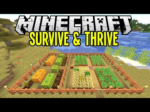 SURVIVE & THRIVE | MINECRAFT SURVIVAL - YouTube