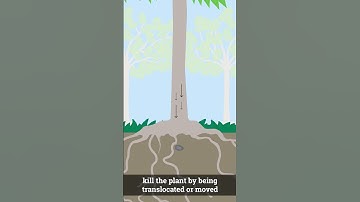 What is Hack & Squirt?