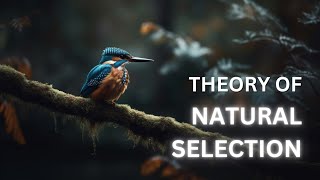 Survival Of The FITTEST | Theory of Natural Selection