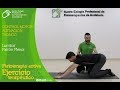 FISIOTERAPIA ACTIVA. Control Motor  Activación Tronco (Lumbar / Patrón Flexor)