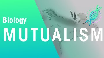 Ecology: What Is Mutualism | Ecology & Environment | Biology | FuseSchool