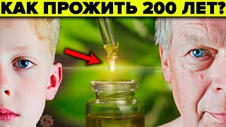 УЧЁНЫЕ РАСКРЫЛИ СЕКРЕТ ДОЛГОЖИТЕЛЕЙ 👴🏻 7 принципов которыми пользуются те кому за 100 лет