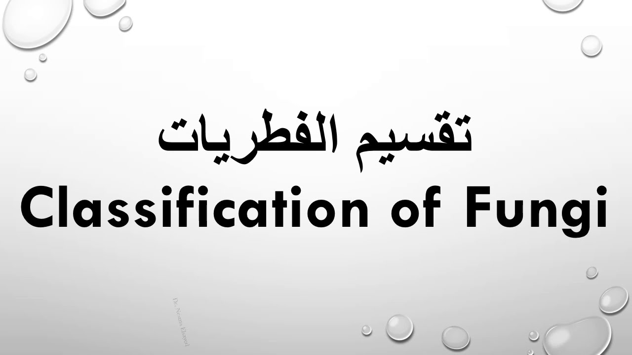 تقسيم الفطريات(جزء أول) الفطريات الهلاميه الرخوه- Classification of Fungi- Myxomycota (Slime molds)