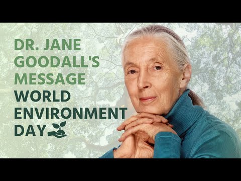 Dr. Jane Goodall's Message for World Environment Day 2022