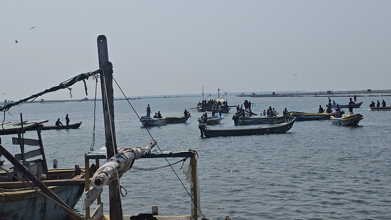 குருநகரிலிருந்து பாலதீவு செல்லும் வழியில் ஏற்பட்ட துயரமான சம்பவமும் உயிரிழப்புகளும் 