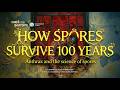 The Anthrax Breakthrough: How We Learned to Fight a Hidden Germ