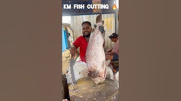 KASIMEDU 🔥 HUGE GROUPER FISH CUTTING VIDEO #kasimeduselvam #speedselvamcutting #shorts #shortsfeed