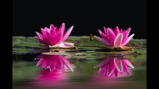 Ninneyen Swanthamakkum Njan Pinne Ee Nanam Mattum Njan..