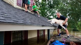 Water rescue in East Baton Rouge Parish by off-duty Lafourche Sheriff deputies after historic floods