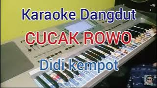 Cucak Rowo.. Didi kempot.. Karaoke versi korg pa50