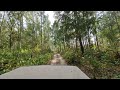 4th Apr 2026 Jeep ride in Rajaji National Park 