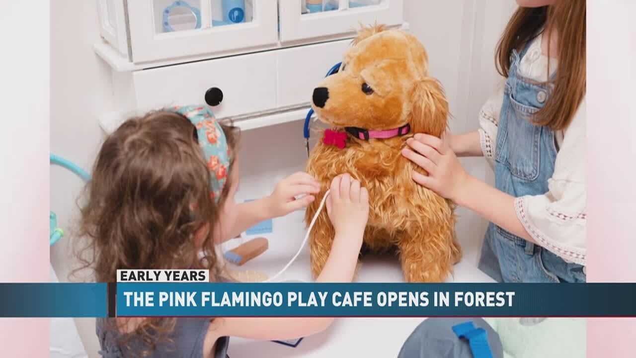 EARLY YEARS: The Pink Flamingo Play Cafe opens in Forest - YouTube