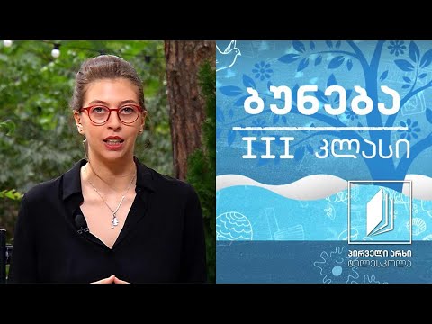 ბუნება, III კლასი - ფოთოლი #ტელესკოლა