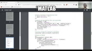 Discover Palindromes: Python & Matlab in 1000-Wrd Text (Parallel Processing)